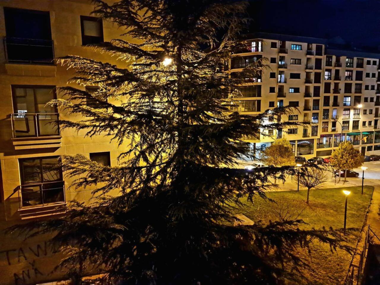 Apartamento Puente Romano Ourense Exterior photo